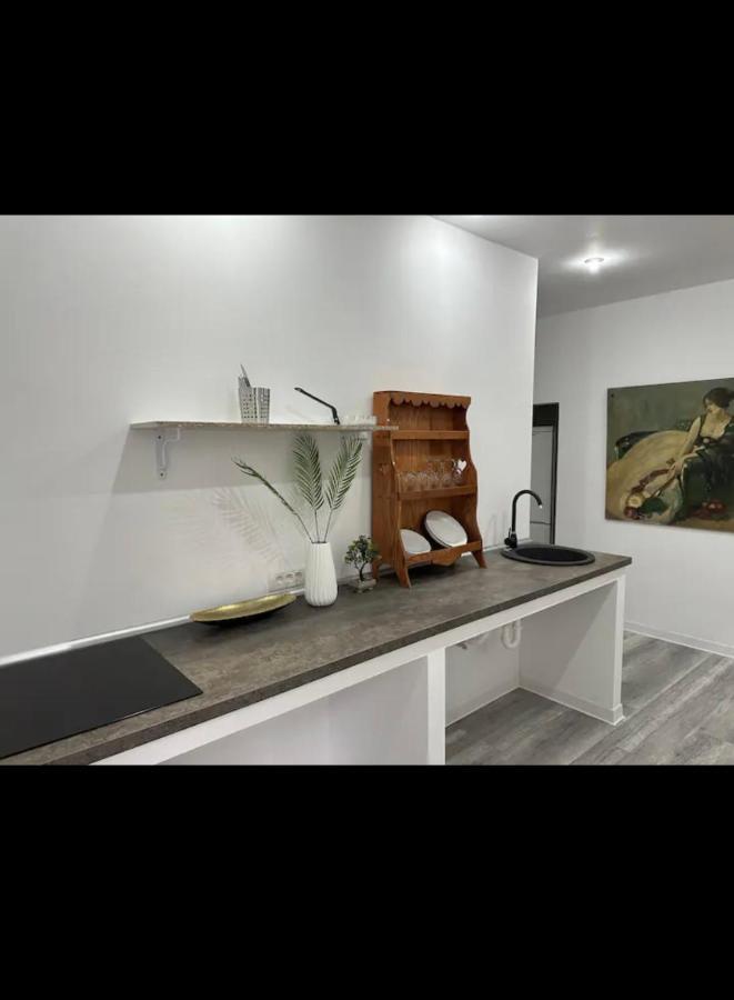 Piata Libertatii Apartament 1 Room Timişoara Exterior foto