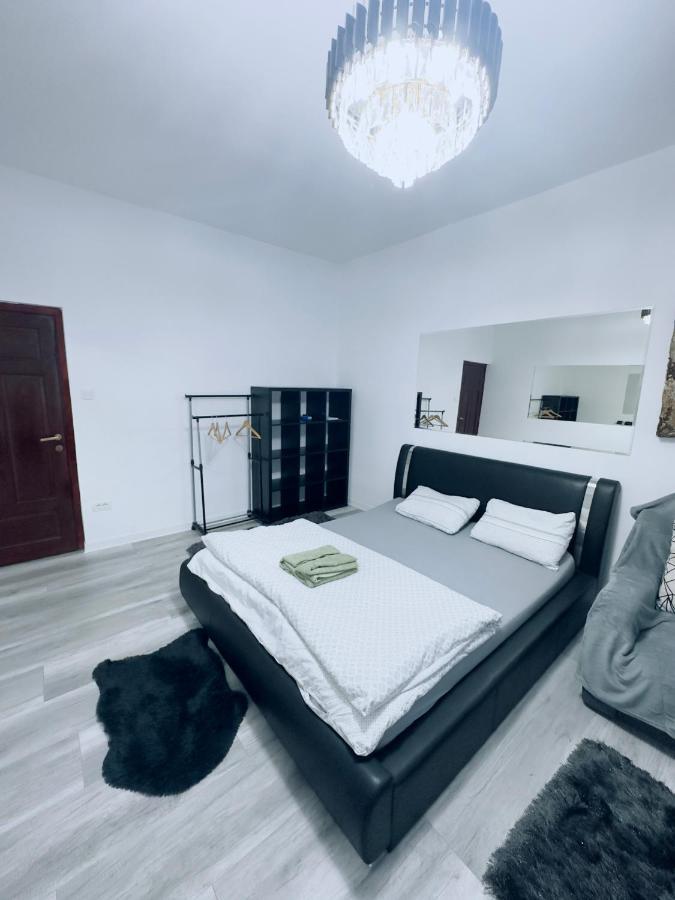 Piata Libertatii Apartament 1 Room Timişoara Exterior foto